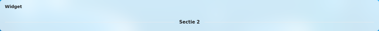 Divider widget rendered